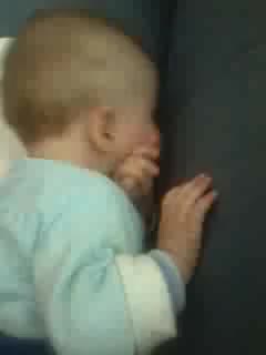 Experience Eurokoha In Virtual Reality